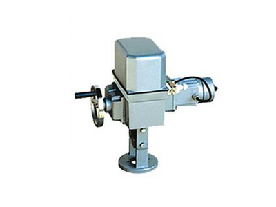 DKZ-M/XM系列 直行程電動執(zhí)行機構(gòu)